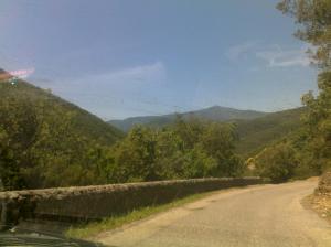 Téléphone portable Premières photos 033