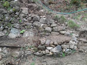 Fleurs, bain et jardinet 036