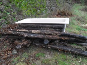 Fleurs, bain et jardinet 031