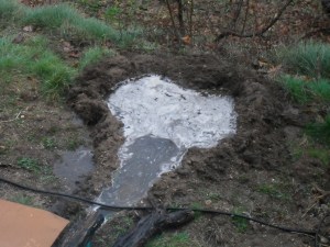 Fleurs, bain et jardinet 017