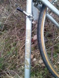 Janvier Février 2014 279