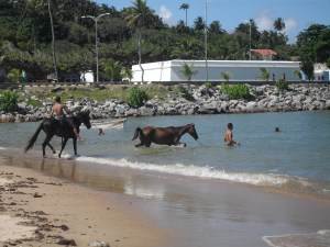 Rio Recife Salvador 107