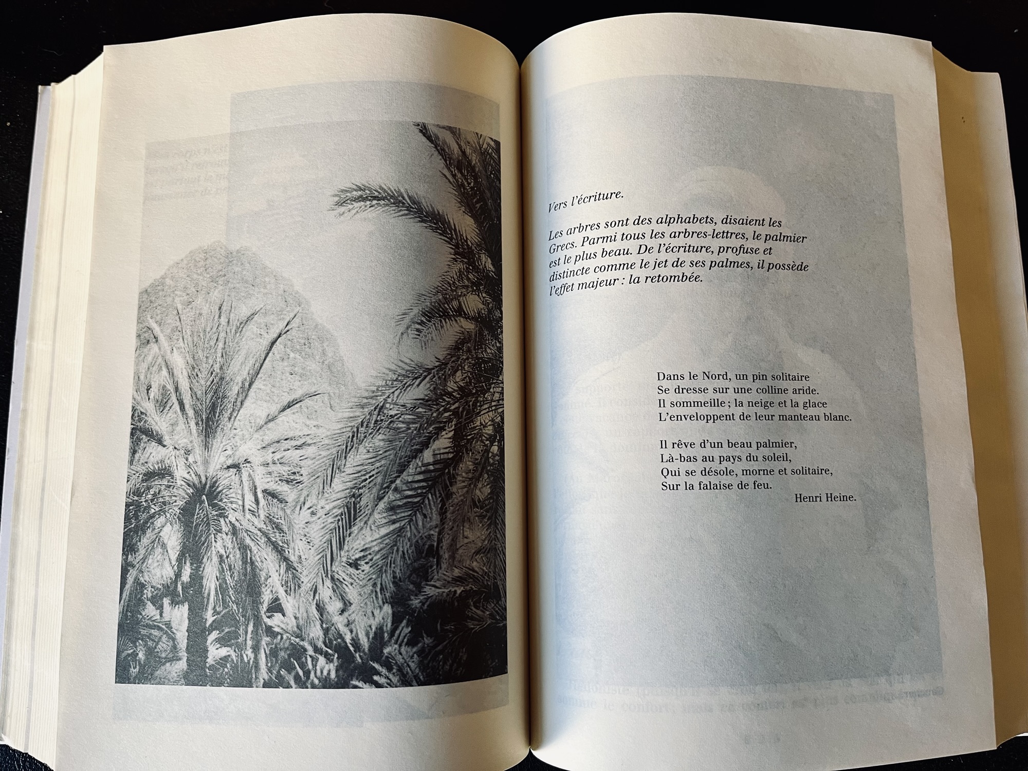 Comprit Heinrich Heine comprit-il quoi que ce soit à la vie d’un palmier ? – La ...